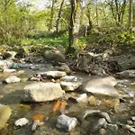 Bujtina Tusha 3* Priska e Madhe