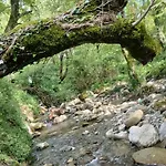 Bujtina Tusha 3* Priska e Madhe