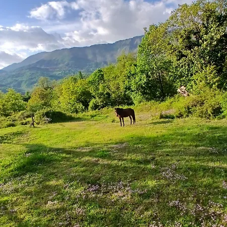 Maison d'hôtes Bujtina Tusha 3*