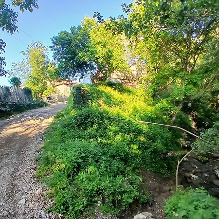 Penzion Bujtina Tusha Priska e Madhe