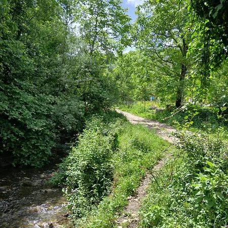 Bujtina Tusha 3*