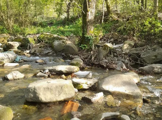 Bujtina Tusha 3* Priska e Madhe