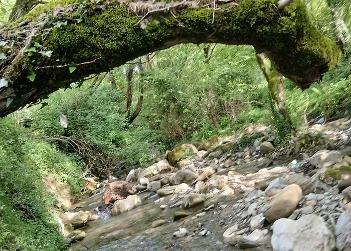 Bujtina Tusha 3* Priska e Madhe