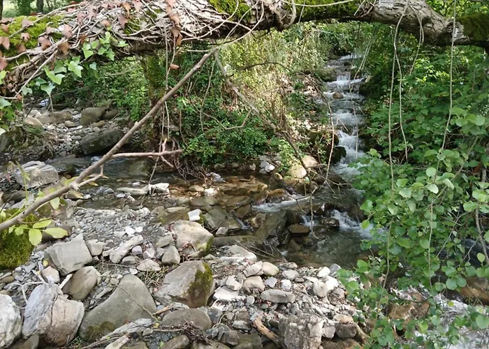 Affittacamere Bujtina Tusha