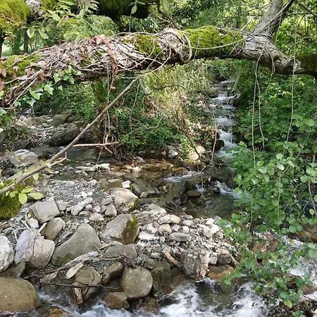 בית הארחה Bujtina Tusha
