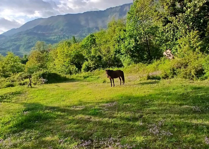 بيت ضيافة Bujtina Tusha 3*