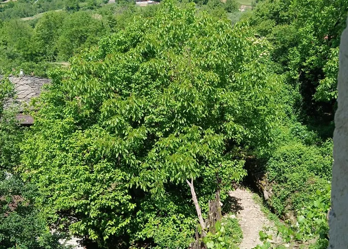 Bujtina Tusha 3* Priska e Madhe